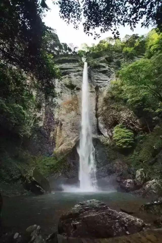 动物帮帮忙保卫家园
